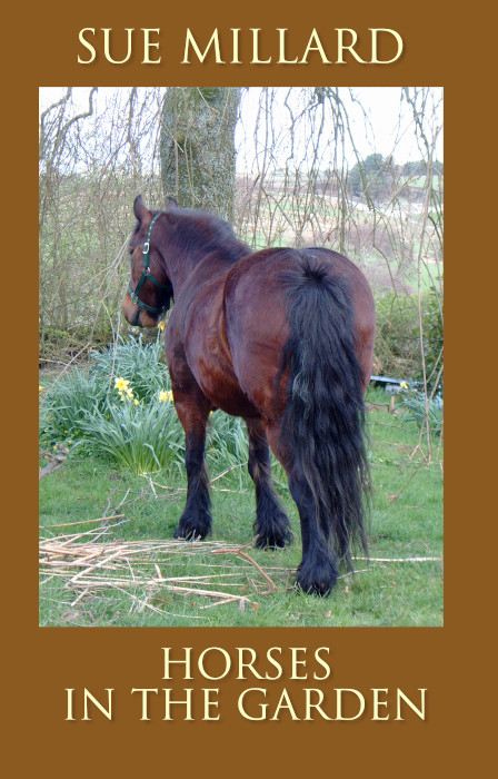 cover of book, brown pony in a garden