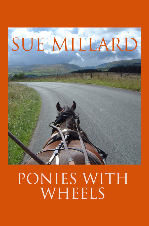 driving pony seen from the carriage with road and mountains ahead