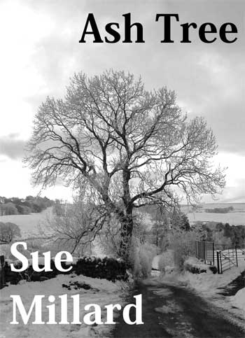 Book cover image of Ash Tree